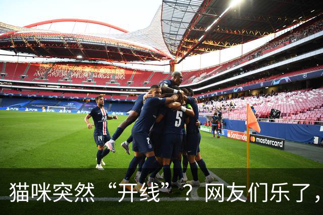 猫咪突然“开线”？网友们乐了，快来修补！